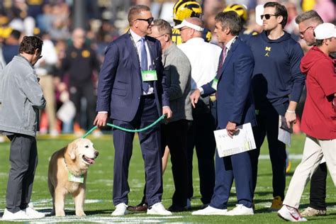 Kirk herbstreit s canine ben is actual star of the college football ...