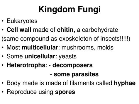 kingdom fungi ( heterotrophs )