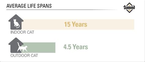 Average Lifespan of Indoor Vs. Outdoor Cats | Outdoor cats, Indoor cat, Cats