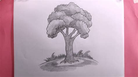 how to draw tree easy with pencil/easy tree drawing - YouTube