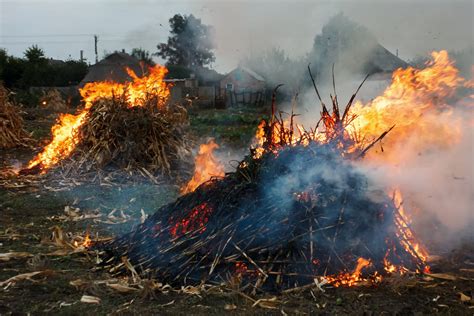 Local Sources, Not Crop Burning Causing Air Pollution in NCR