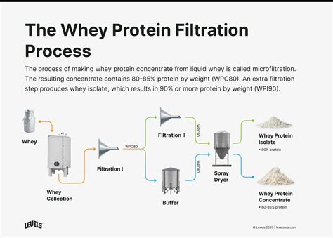 Whey Protein Isolate vs. Concentrate: Everything You Need to Know - Levels