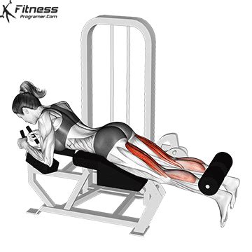 Legs-calf » Workout Routine Created By Yasume Ateş