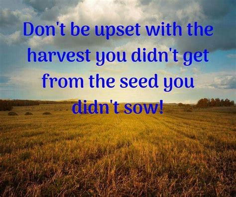 You reap what you sow! | Reap what you sow, Sowing, Words