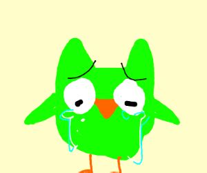 Duolingo Owl is sad - Drawception