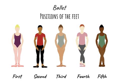 Ballet positions of the feet printable | Ballet positions, Ballet studio, Dance images