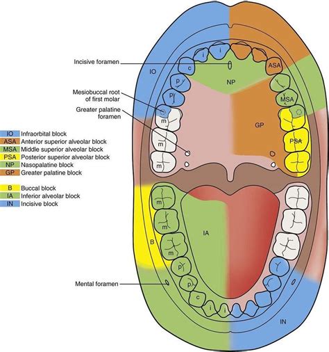 Which #block is the worse? I would have to go with the nasopalatine block brings tears to a ...