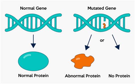 GENE MUTATION