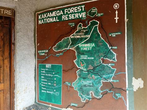 Hike 032: Kakamega Forest – Hiking Adventures