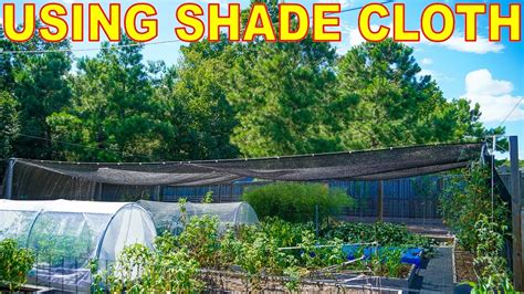 Using Shade Cloth Vegetable Gardens | Fasci Garden