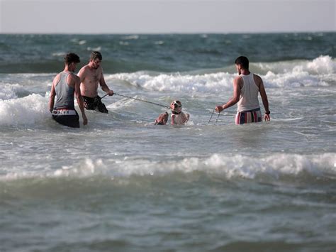 Not even the beaches in Gaza are safe from the threat of conflict | The Independent | The ...