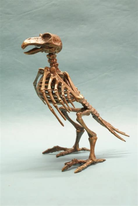 Bird Skeleton - Complete - Bronze Art by William Miles