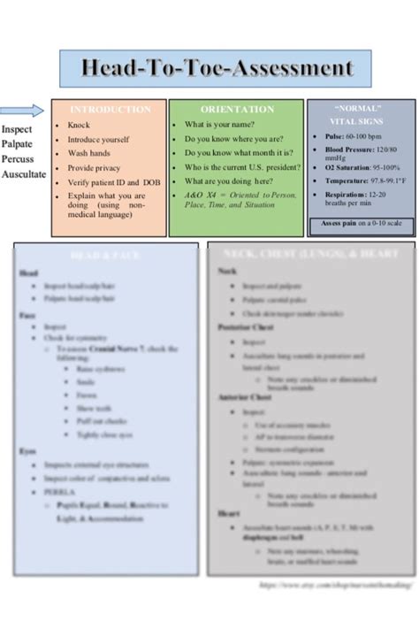 Head-to-toe Assessment Guide 2 Pages 2023 Edition Nursing Notes Nursing Students Health ...