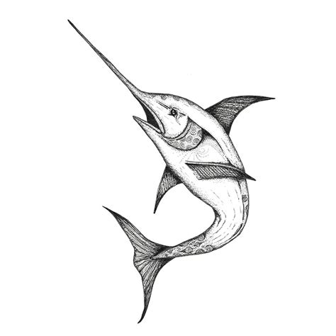 Swordfish drawing | Sea Life Art