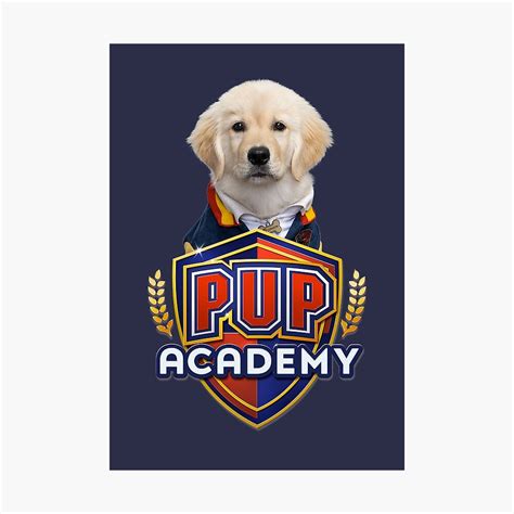 Corazon Pup Academy Wallpapers - Wallpaper Cave