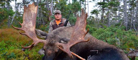 Newfoundland Moose Hunt | remodel