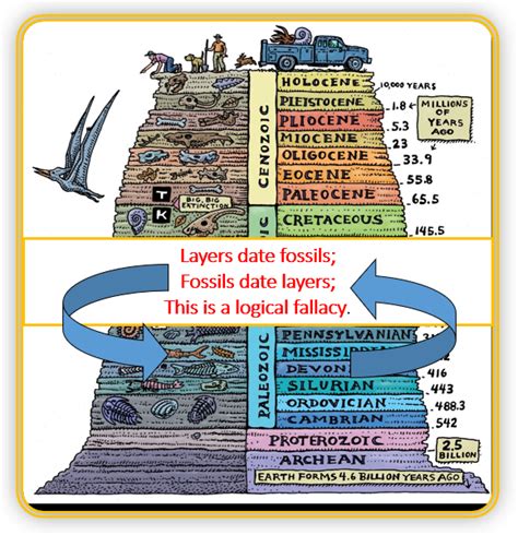 Fossils In Rock Layers