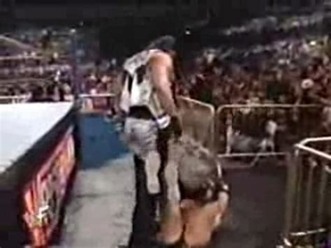 Wrestlemania 10 ladder match part 1 - video Dailymotion