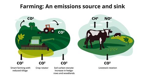 How soil carbon sequestration can be applied to the agricultural industry?