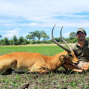 Impala Hunting Namibia | AfricaHunting.com