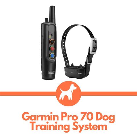 9 Best Garmin Dog Training & Tracking Collars [2023 Updated]