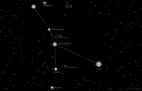 Cancer Constellation Diagram