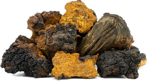 Chaga Mushroom Extract Recipe | Dandk Organizer