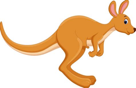 20,513 Cartoon Kangaroo Royalty-Free Photos and Stock Images | Shutterstock