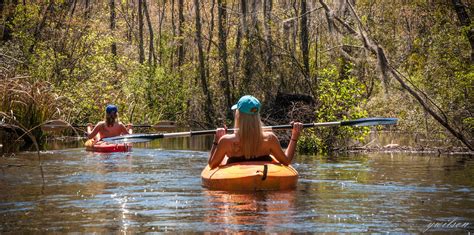 Penny Creek, South of Edisto River in SC | Kayaking, River, Creek