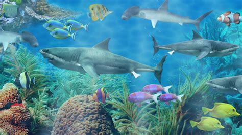 Shark aquarium live wallpaper for PC / Mac / Windows 7.8.10 - Free ...