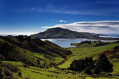 Otago Peninsula - Alchetron, The Free Social Encyclopedia