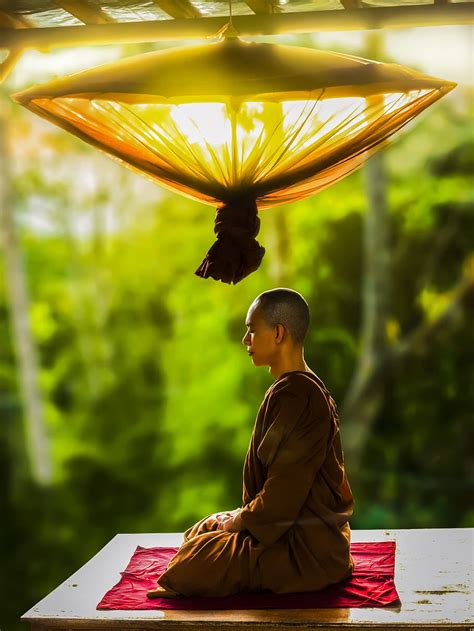 HD wallpaper: Monk Meditating, adult, Asian, bald, Buddhism, concentration | Wallpaper Flare