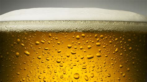 Beer Full HD Wallpaper and Background Image | 1920x1080 | ID:437743