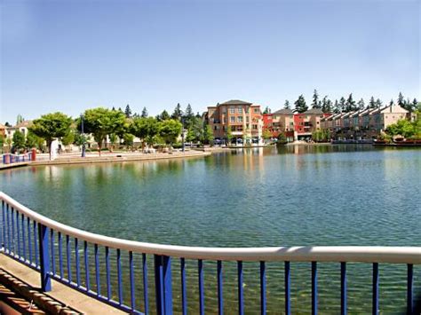 Tualatin Lake at the Commons | The City of Tualatin Oregon Official Website