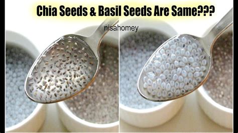 Weight Loss Hair Growth Chia Seeds - Manga