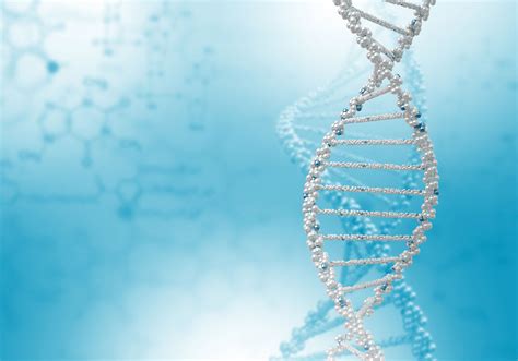 beta-thalassemia-diagnosis – Beta-Thalassemia DNA