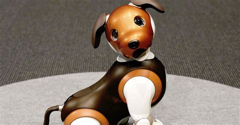 Robot Dogs Can Help Seniors Cope—Especially During Covid | WIRED