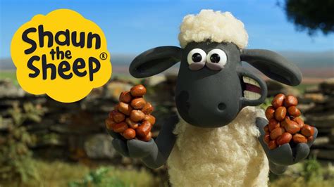 Shaun the Sheep Season 6 (Clip) | Squirrelled Away - YouTube