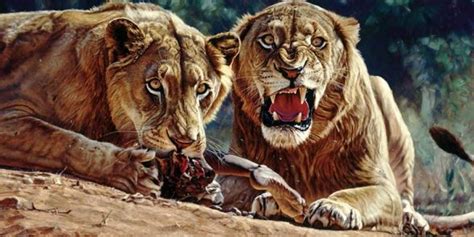 Tsavo lions – Man-Eaters of Tsavo | DinoAnimals.com