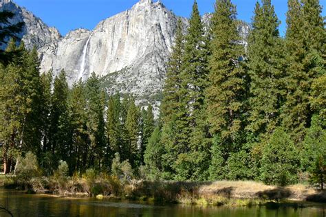 Sierra Nevada Forests | One Earth