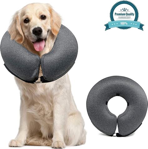 10 Best Inflatable Dog Collar Reviews