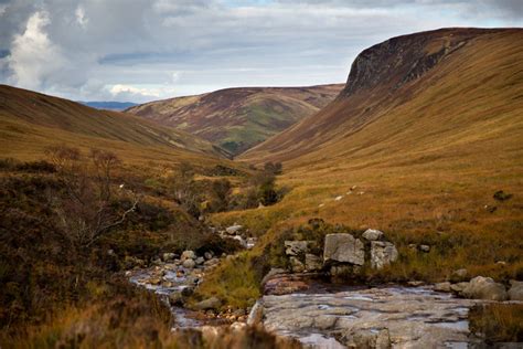 A Guide to Arran Wildlife | Arran Whisky