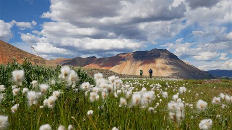 Mount Edziza Provincial Park | The Narwhal