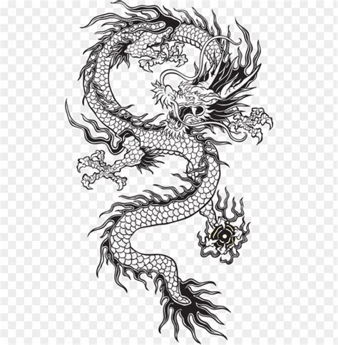 transparent chinese dragon tumblr black and white - transparent chinese ...