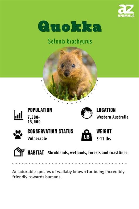 Quokka Habitat Map