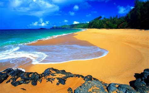 Hawaii Beach Waves - 1024x640 Wallpaper - teahub.io