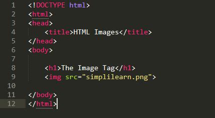 The Best Guide To HTML Image Tag