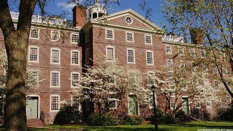 At Brown University, 38 Percent of Students Say They're Not Straight