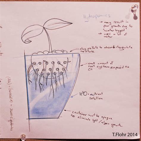 Works Like: Kitchen Garden II : Geoponics vs Hydroponics vs Aeroponics