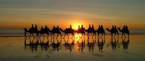 Broome Camel Safaris | Sunset Camel Rides Cable Beach